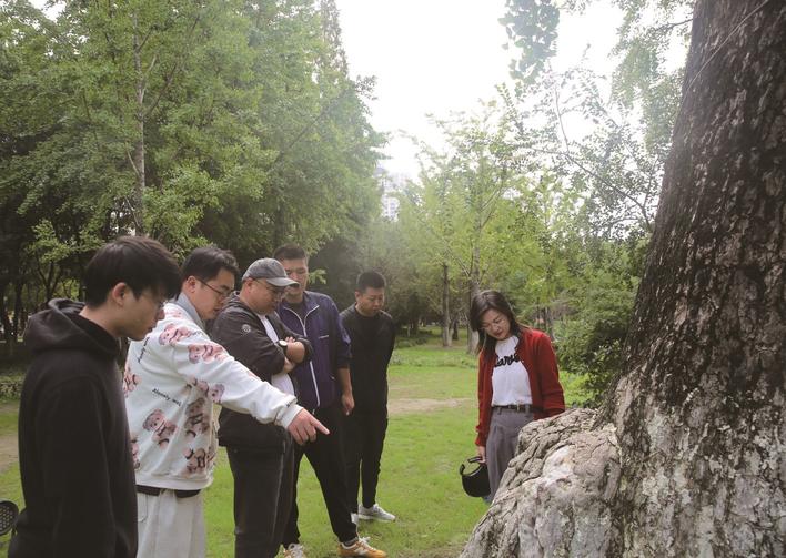 濠河景區(qū)古樹名木養(yǎng)護正當(dāng)時